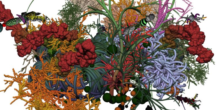 CHRISTA SOMMERER AND LAURENT MIGNONNEAU. “THE ARTWORK AS A LIVING SYSTEM”.
