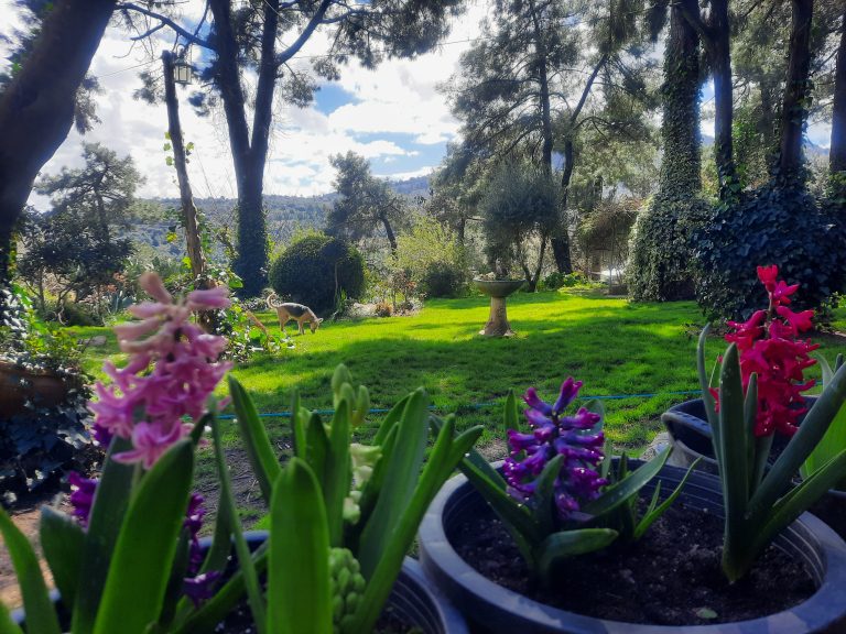 PERRIS GARDENS: LE PLAISIR DE L´ÉPHÉMÈRE