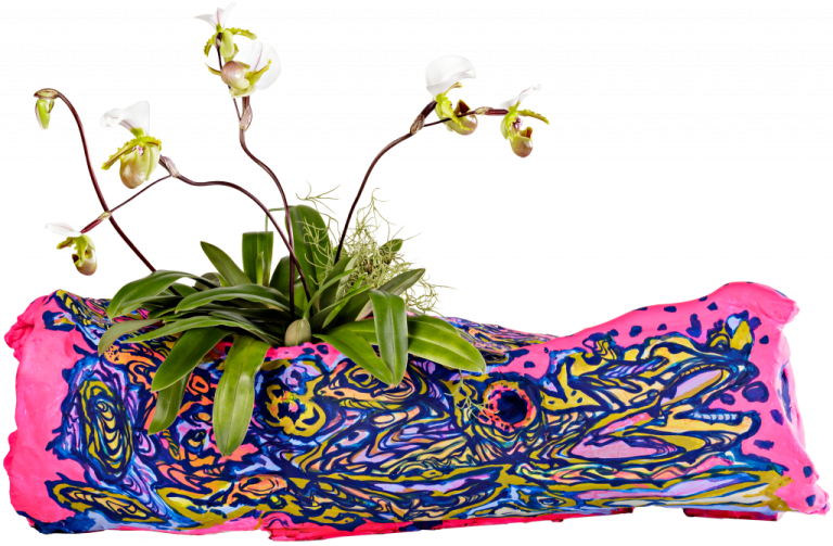 THE FUTURE OF ORCHIDS CONSERVATION AND COLLABORATION. SMITHSONIAN AMERICAN ART MUSEUM