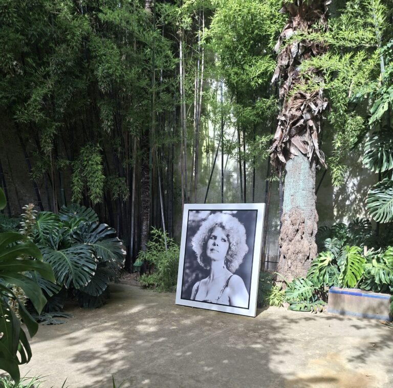 LA EXPOSICIÓN CAYETANA DE ALBA, SE EXHIBE EN EL PALACIO DE LAS DUEÑAS DE SEVILLA, IMPONENTE, MUY BELLA